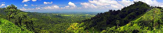 Description: http://www.jazzcuba.com/../../../CGI/images/540coffee_mountains333.jpg