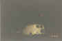 fire_cresting_mountain.jpg (41939 bytes)