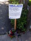 flower design sign