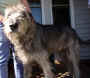 sammy.jpg (45957 bytes)