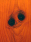 faceinwood